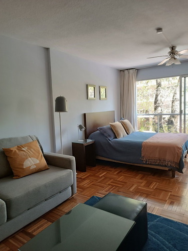 Hermoso Monoambiente En Punta Carretas