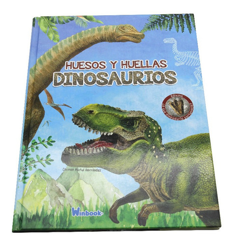 Libro Sobre Huesos Y Huellas De Dinosaurios Infantil Ilustra