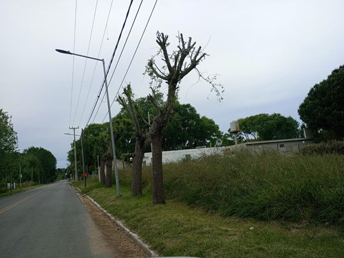 Lote Sobre Calle 94 Mar Del Tuyú