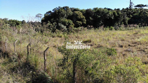 Imagem 3 de 23 de Área À Venda, 11914 M² Por R$ 5.766.419,56 - Cidade Industrial - Curitiba/pr - Ar0007