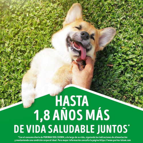 Imagen 10 de 10 de Pack Dog Chow® Adulto Carne 100g