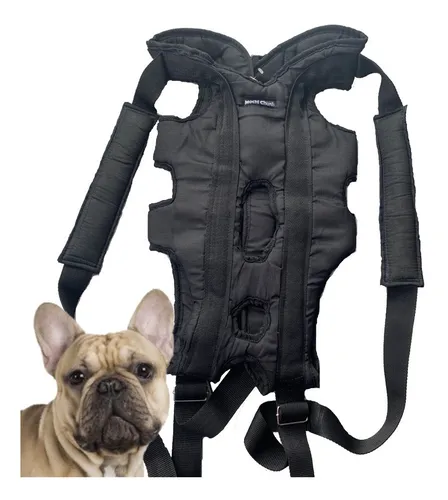 Cangurera Para Perro MercadoLibre