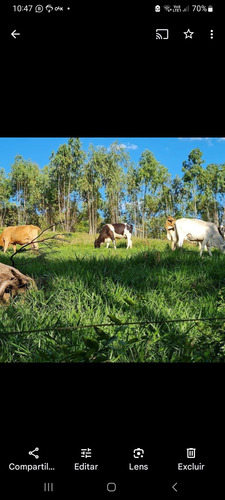 Fazenda Com Ótima Localização