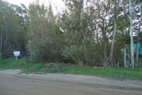 Imagen 3 de 4 de Muy Buena Ubicación- Lindo Entorno- Lote A Nivel- Arbolado- 15x45- 675mts- Ideal 2 Unidades-