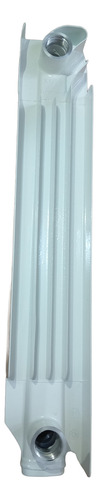 Elemento Vela De Radiador Ferroli Xian 500