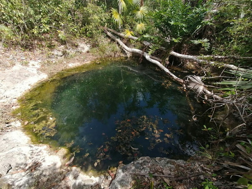 Terreno Con Cenote Privado En Venta En Tulum