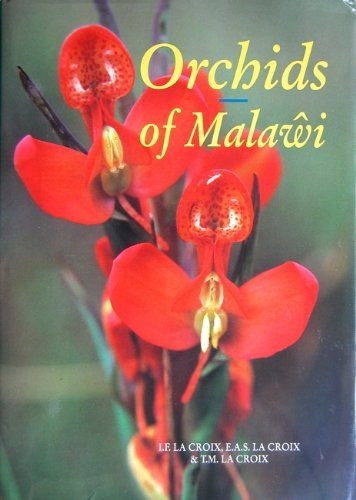 Orquideas De Malawi