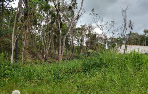 Imagem 1 de 1 de Terreno Na Praia À 1,88 Km Do Mar, No Jardim Márcia 2 Em Peruíbe, Analisa Entrada E Parcelas, Aceita Carro Como Parte De Pagamento, Ref: Ter174/ac