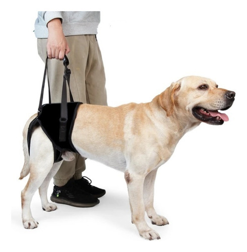 Suporte Guia Cachorro Cão Arnês Elevação Pernas Alça Sai