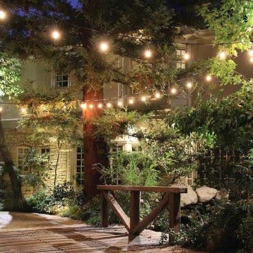 Imagen 4 de 4 de Serie De Luces Led Feit Electric