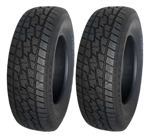 Par Pneu Delinte 205/65r15 99h Dx-10 At Bandit Xl Ecosport H