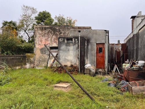 Ombu Prox Cno Maldonado - Terreno