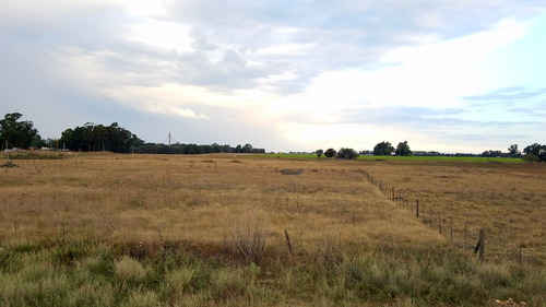 Vendo O Permuto Chacra De 2 Hectareas A 40 Minutos De Tandil