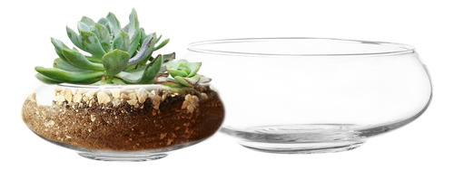 Maceta De Cristal Moderna Terrario Decoracion Mesa Plantas