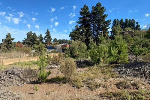 Terreno 1.500m² Alta Plusvalía En Reñaca Los Pinos