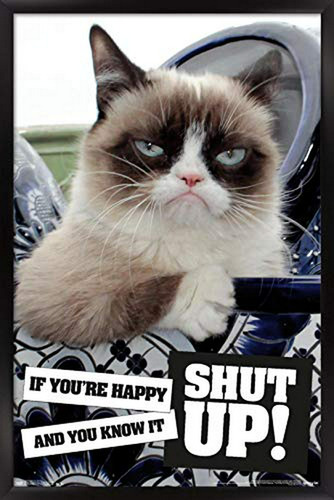 Trends International Póster De Pared Grumpy Cat Shut Up, 22.