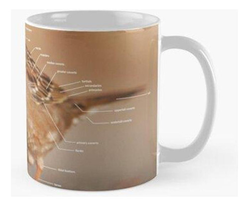 Taza Partes De Un Pájaro - Gorrión Coronado De Oro Calidad P