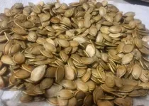 Comprar Semillas De Ahuyama Germinación Hortalizas