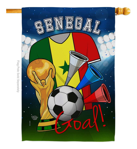 Bandera De La Copa Del Mundo De Senegal De La Casa De Fútbol