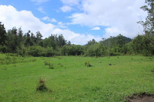 Hermoso Terreno En Venta En Una De Las Zonas Mas Solicitadas En República Dominicana La Joya Que Es Constanza
