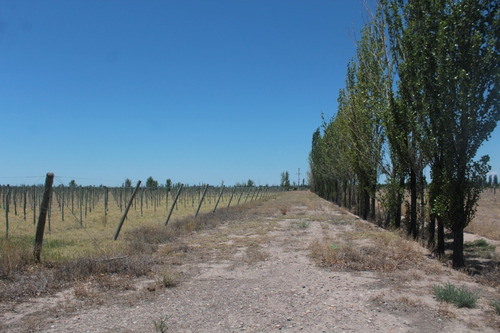 Imagen 17 de 30 de Vendo Finca 57 Hectareas Con Dos Perforaciones En Goudge- San Rafael