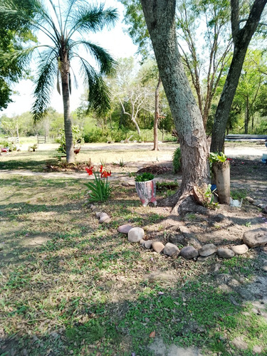Quinta