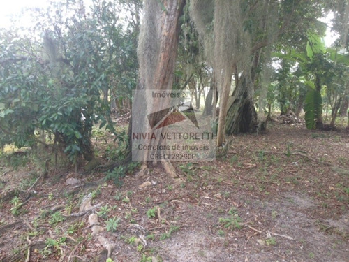 Terreno A Venda No Bairro Ratones Em Florianópolis - Sc. - 505-1