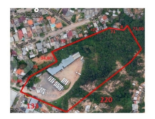Imagem 1 de 8 de Terreno - Jardim Carvalho - Ref: 196560 - V-196560