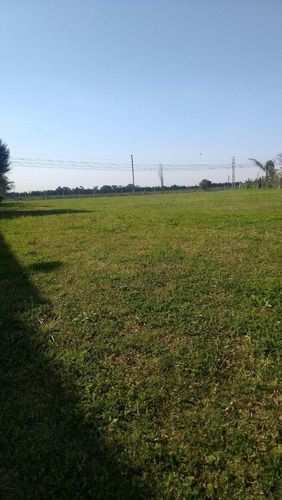 Imagen 7 de 11 de Venta Terreno En Santa Rita Canning