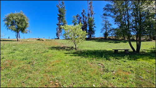 Parcela Con 2 Casas Y 8000m2 De Terreno (126968)