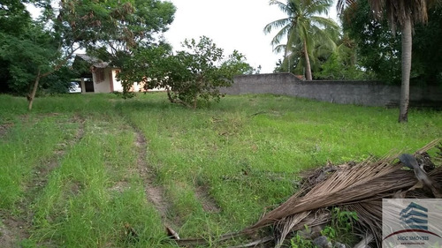 Granja A Venda Pium