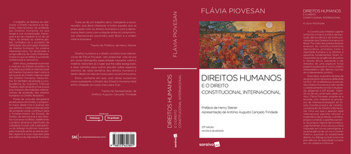 Direitos Humanos E O Direito Constitucional Internacional, De Piovesan, Flávia. Editora Saraiva Jur, Capa Mole, Edição 22 Em Português, 2024