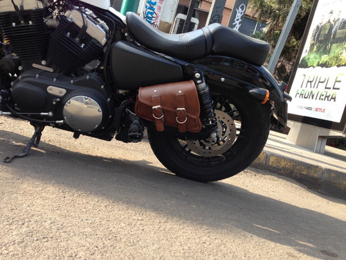 Imagen 3 de 8 de Alforja Basculante Para Sportster