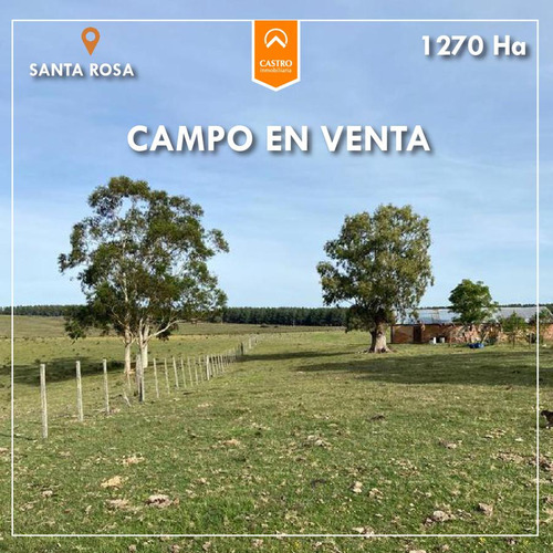 Venta Campo 1000xhas Santa Rosa