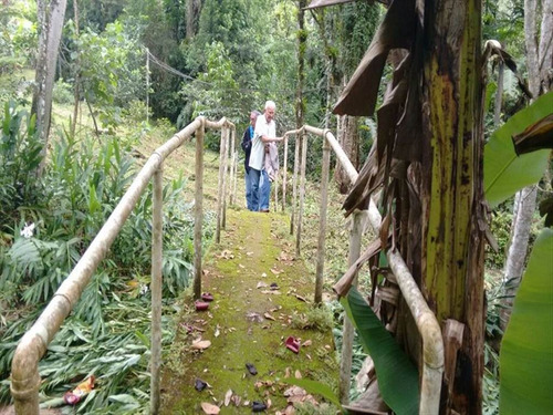 Imagem 6 de 8 de Rural - Venda - Peruibe - Peruibe - Ita2339