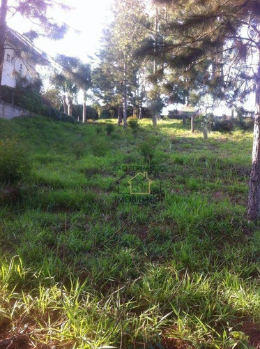 Imagem 6 de 7 de Terreno Residencial À Venda, Residencial Euroville, Carapicuíba - Te0802. - Te0802