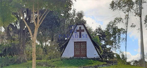 Imagem 8 de 30 de Fazenda Em Itabuna, Frente Para Br 101-160 Ha- R$ 10.000.000,00 - V65800