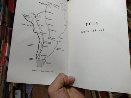 Tula Guia Oficial (Usado)