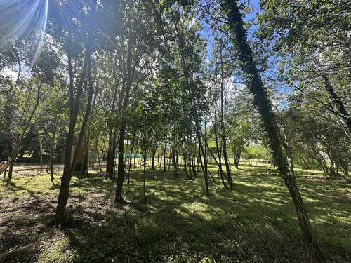 Venta Lote Raices 2 San Vicente Buenos Aires