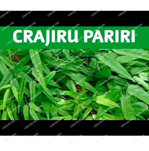 Crajiru Pariri Especiais Do Amazonas 90 Dias De Tratamento//