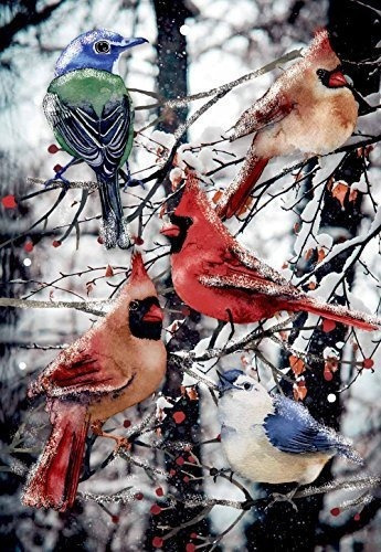 Morigins Invierno Cardenales Decorativo Doble Cara Nieve Nav