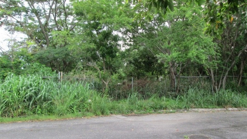 Imagen 10 de 21 de Terreno Con Proyecto Comercial Aprobado 5.917m2 Código 139296 Vende Yackeline Tovar 04145831984
