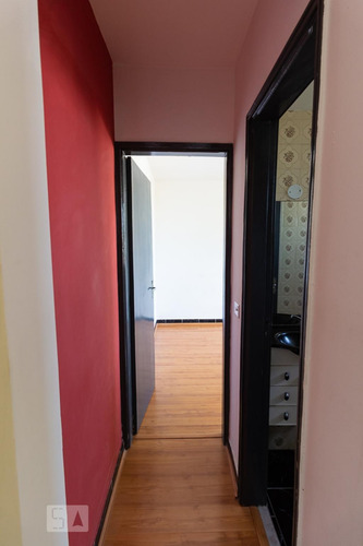 Apartamento Para Aluguel - Quintino Bocaiúva, 1 Quarto, 50 - 893308037