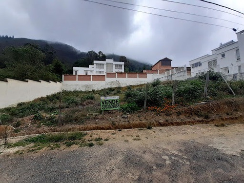 Imagen 9 de 20 de Lotes En Venta Pamplona 815-899