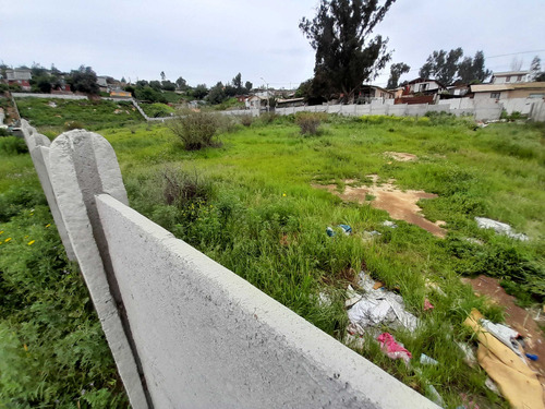 Terreno Con 11 Lotes Con Roles Propios (100748)