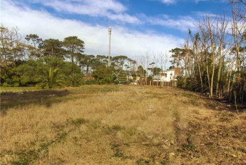 Imagen 3 de 4 de Terreno En Pinares Pda 32 De Playa Mansa - Punta Del Este Pinares