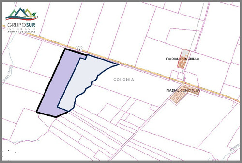Venta Campo Conchillas. Colonia