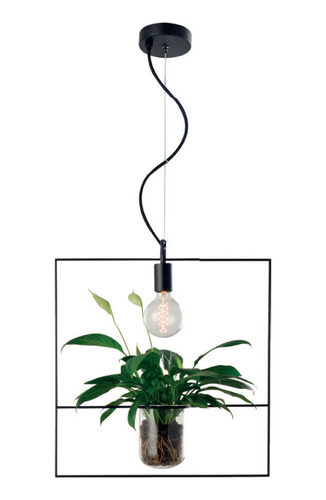 Luminaria Pendente Nature Qua Pto Av.489330001 Avant