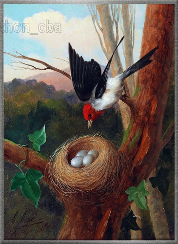 Cuadro Pájaro En Su Nido - Michelangelo Meucci - Año 1876