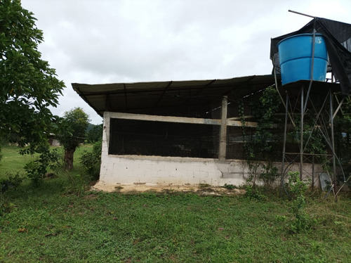 Venta De Finca Productiva Y Fondo De Comercio En Montalbán - Inmobiliaria Maggi 1417